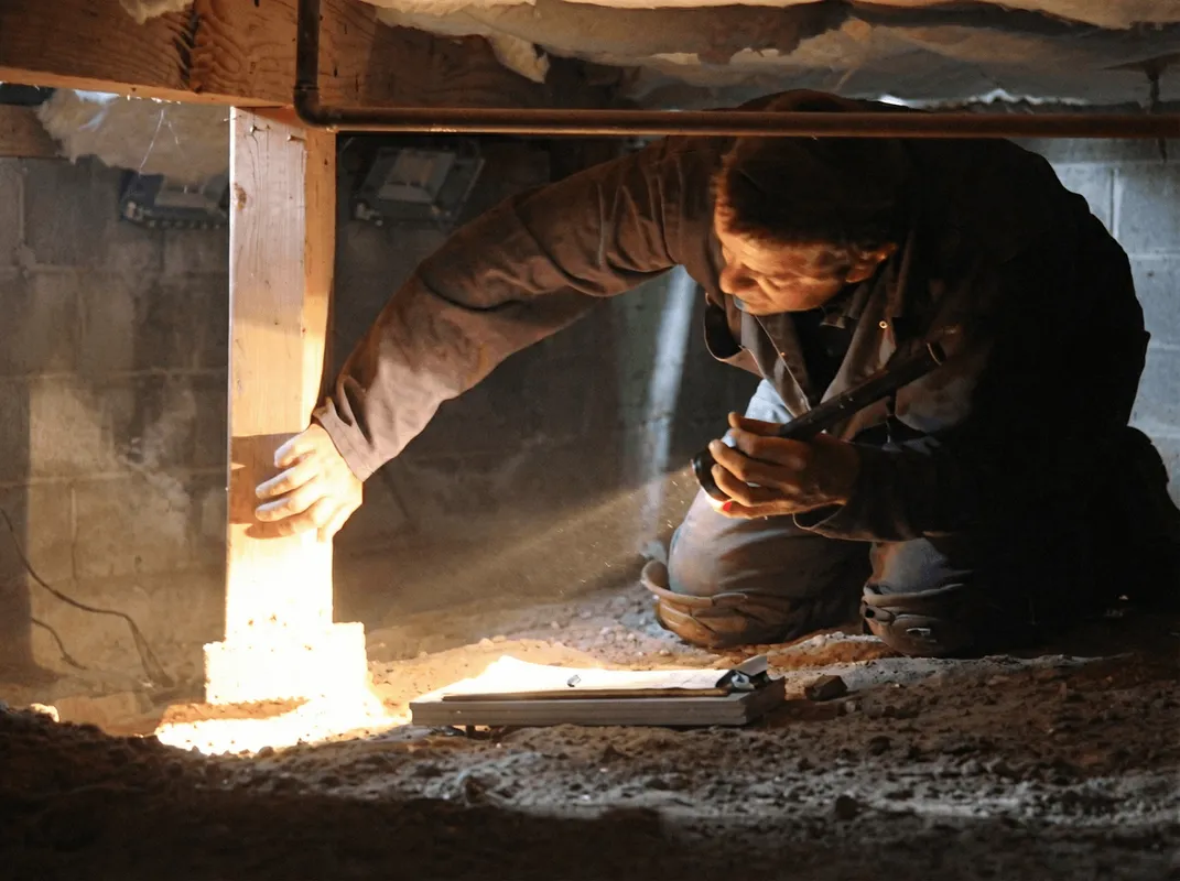 A professional inspecting wooden beams under the floor of a structure in Miami, FL